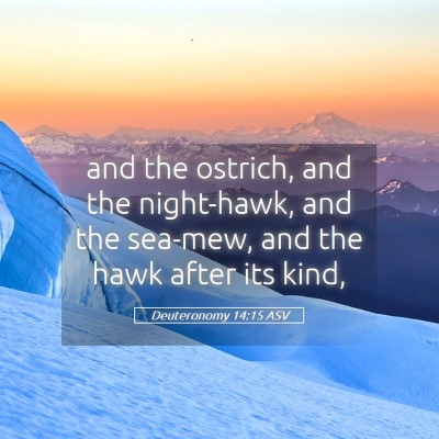 Picture 05 - Deuteronomy 14:15 ASV - and the ostrich, and the night-hawk, and the - Bible Verse Picture