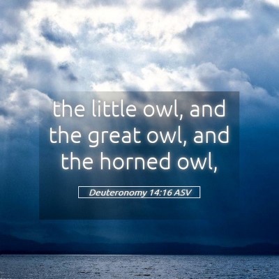 Picture 05 - Deuteronomy 14:16 ASV - the little owl, and the great owl, and the horned - Bible Verse Picture
