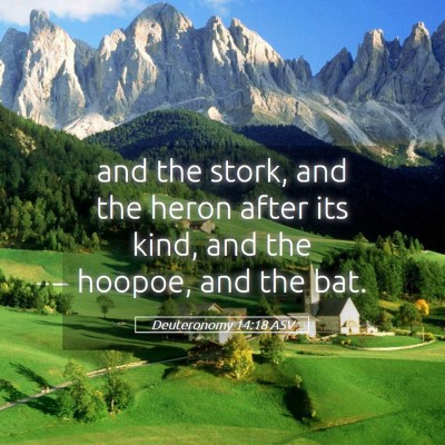 Picture 05 - Deuteronomy 14:18 ASV - and the stork, and the heron after its kind, and - Bible Verse Picture