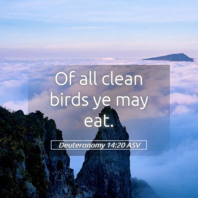 Picture 05 - Deuteronomy 14:20 ASV - Of all clean birds ye may - Bible Verse Picture