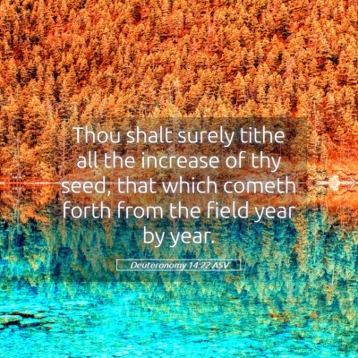Picture 05 - Deuteronomy 14:22 ASV - Thou shalt surely tithe all the increase of thy - Bible Verse Picture