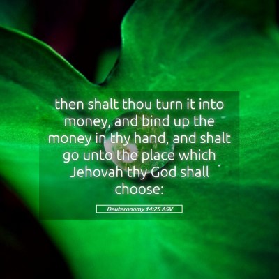 Picture 05 - Deuteronomy 14:25 ASV - then shalt thou turn it into money, and bind up - Bible Verse Picture