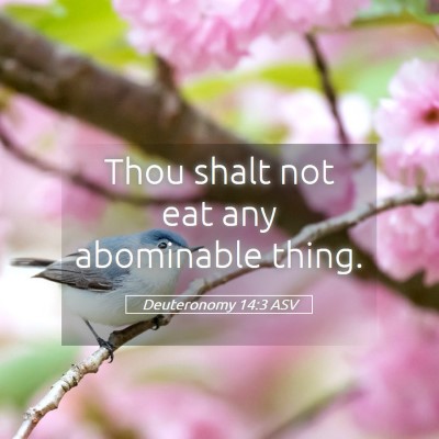 Picture 05 - Deuteronomy 14:3 ASV - Thou shalt not eat any abominable - Bible Verse Picture