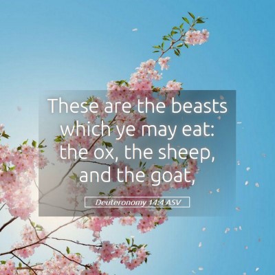 Picture 05 - Deuteronomy 14:4 ASV - These are the beasts which ye may eat: the ox, - Bible Verse Picture