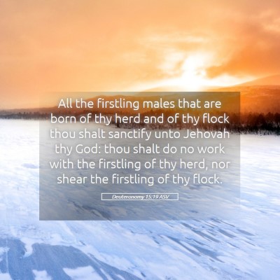 Picture 05 - Deuteronomy 15:19 ASV - All the firstling males that are born of thy herd - Bible Verse Picture