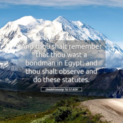 Picture 05 - Deuteronomy 16:12 ASV - And thou shalt remember that thou wast a bondman - Bible Verse Picture