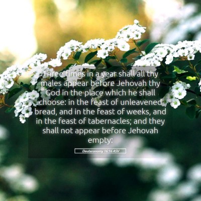 Picture 05 - Deuteronomy 16:16 ASV - Three times in a year shall all thy males appear - Bible Verse Picture