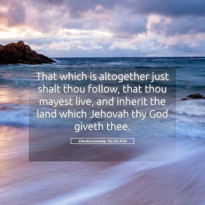 Picture 05 - Deuteronomy 16:20 ASV - That which is altogether just shalt thou follow, - Bible Verse Picture