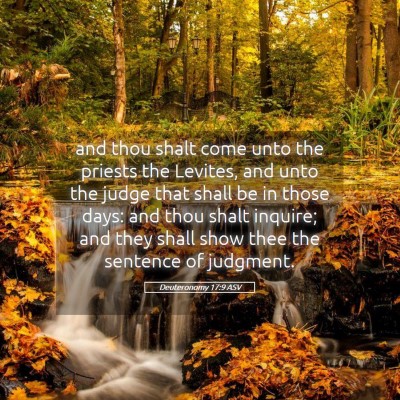 Picture 05 - Deuteronomy 17:9 ASV - and thou shalt come unto the priests the Levites, - Bible Verse Picture