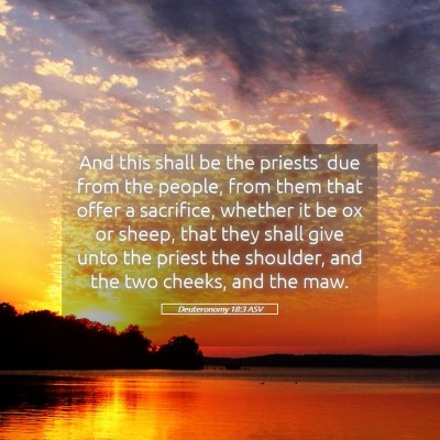 Picture 05 - Deuteronomy 18:3 ASV - And this shall be the priests' due from the - Bible Verse Picture
