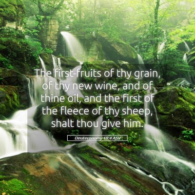 Picture 05 - Deuteronomy 18:4 ASV - The first-fruits of thy grain, of thy new wine, - Bible Verse Picture