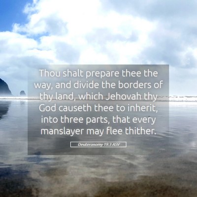 Picture 05 - Deuteronomy 19:3 ASV - Thou shalt prepare thee the way, and divide the - Bible Verse Picture