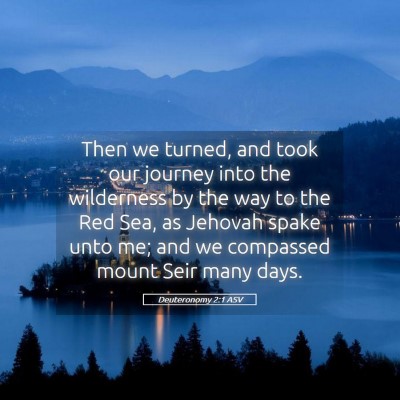 Picture 05 - Deuteronomy 2:1 ASV - Then we turned, and took our journey into the - Bible Verse Picture