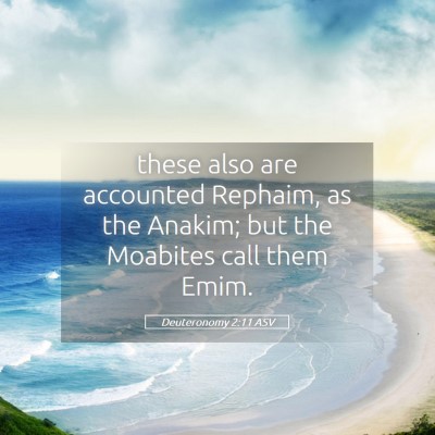 Picture 05 - Deuteronomy 2:11 ASV - these also are accounted Rephaim, as the Anakim; - Bible Verse Picture
