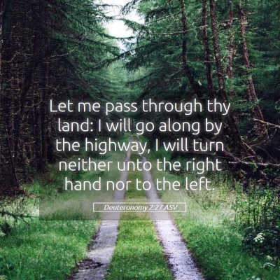 Picture 05 - Deuteronomy 2:27 ASV - Let me pass through thy land: I will go along by - Bible Verse Picture