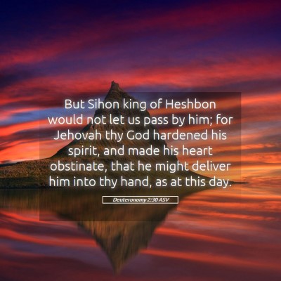 Picture 05 - Deuteronomy 2:30 ASV - But Sihon king of Heshbon would not let us pass - Bible Verse Picture