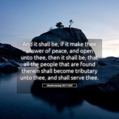 Picture 05 - Deuteronomy 20:11 ASV - And it shall be, if it make thee answer of peace, - Bible Verse Picture