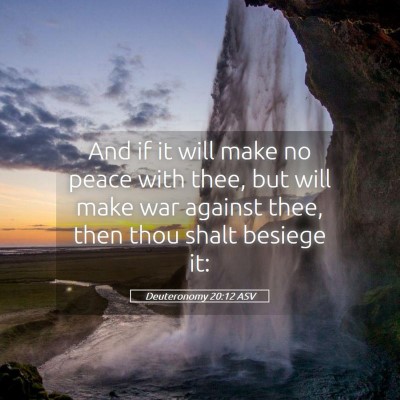 Picture 05 - Deuteronomy 20:12 ASV - And if it will make no peace with thee, but will - Bible Verse Picture