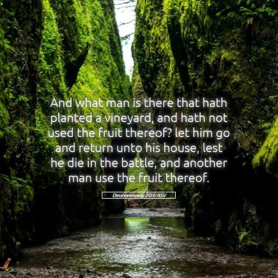 Picture 05 - Deuteronomy 20:6 ASV - And what man is there that hath planted a - Bible Verse Picture