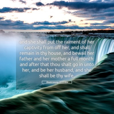 Picture 05 - Deuteronomy 21:13 ASV - and she shall put the raiment of her captivity - Bible Verse Picture