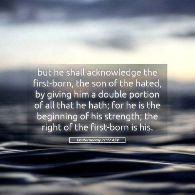 Picture 05 - Deuteronomy 21:17 ASV - but he shall acknowledge the first-born, the son - Bible Verse Picture