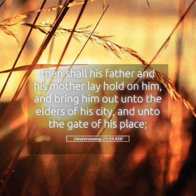 Picture 05 - Deuteronomy 21:19 ASV - then shall his father and his mother lay hold on - Bible Verse Picture
