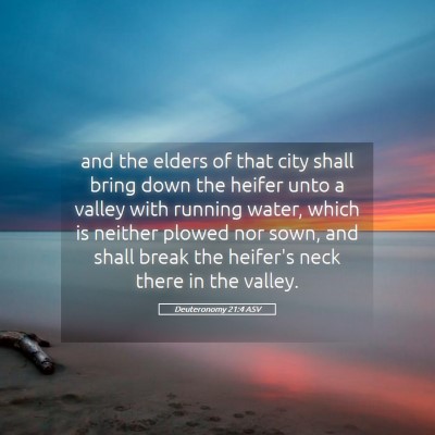 Picture 05 - Deuteronomy 21:4 ASV - and the elders of that city shall bring down the - Bible Verse Picture