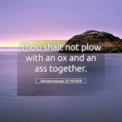 Picture 05 - Deuteronomy 22:10 ASV - Thou shalt not plow with an ox and an ass - Bible Verse Picture