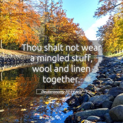 Picture 05 - Deuteronomy 22:11 ASV - Thou shalt not wear a mingled stuff, wool and - Bible Verse Picture