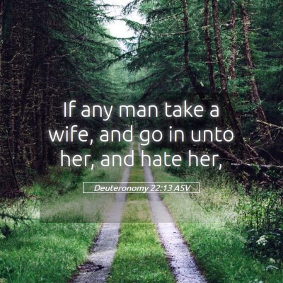 Picture 05 - Deuteronomy 22:13 ASV - If any man take a wife, and go in unto her, and - Bible Verse Picture