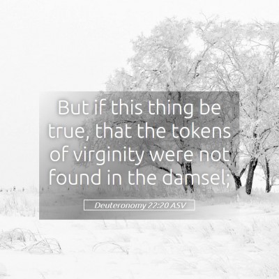 Picture 05 - Deuteronomy 22:20 ASV - But if this thing be true, that the tokens of - Bible Verse Picture