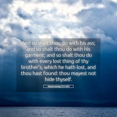 Picture 05 - Deuteronomy 22:3 ASV - And so shalt thou do with his ass; and so shalt - Bible Verse Picture