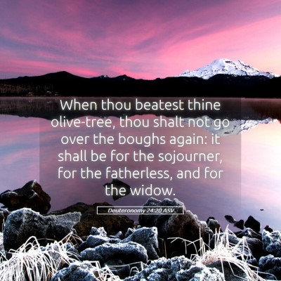 Picture 05 - Deuteronomy 24:20 ASV - When thou beatest thine olive-tree, thou shalt - Bible Verse Picture