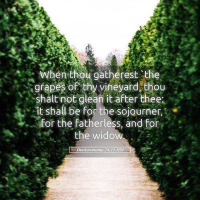 Picture 05 - Deuteronomy 24:21 ASV - When thou gatherest `the grapes of' thy vineyard, - Bible Verse Picture