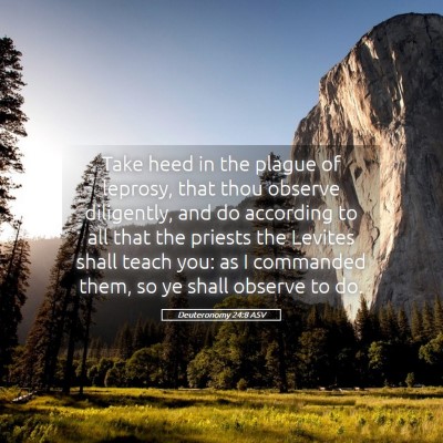 Picture 05 - Deuteronomy 24:8 ASV - Take heed in the plague of leprosy, that thou - Bible Verse Picture