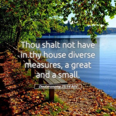 Picture 05 - Deuteronomy 25:14 ASV - Thou shalt not have in thy house diverse - Bible Verse Picture