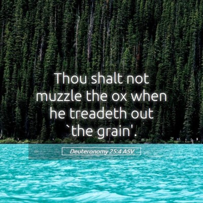 Picture 05 - Deuteronomy 25:4 ASV - Thou shalt not muzzle the ox when he treadeth out - Bible Verse Picture