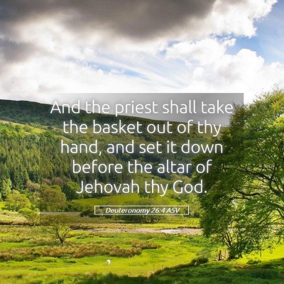 Picture 05 - Deuteronomy 26:4 ASV - And the priest shall take the basket out of thy - Bible Verse Picture