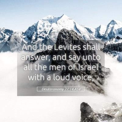 Picture 05 - Deuteronomy 27:14 ASV - And the Levites shall answer, and say unto all - Bible Verse Picture