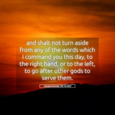 Picture 05 - Deuteronomy 28:14 ASV - and shalt not turn aside from any of the words - Bible Verse Picture