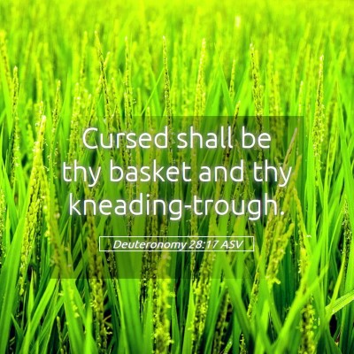 Picture 05 - Deuteronomy 28:17 ASV - Cursed shall be thy basket and thy - Bible Verse Picture