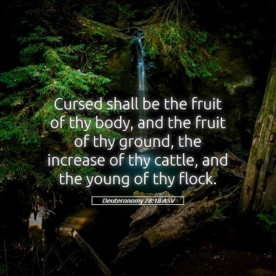 Picture 05 - Deuteronomy 28:18 ASV - Cursed shall be the fruit of thy body, and the - Bible Verse Picture