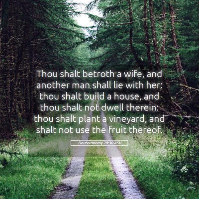 Picture 05 - Deuteronomy 28:30 ASV - Thou shalt betroth a wife, and another man shall - Bible Verse Picture