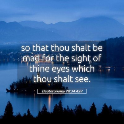 Picture 05 - Deuteronomy 28:34 ASV - so that thou shalt be mad for the sight of thine - Bible Verse Picture