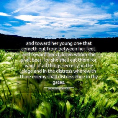 Picture 05 - Deuteronomy 28:57 ASV - and toward her young one that cometh out from - Bible Verse Picture