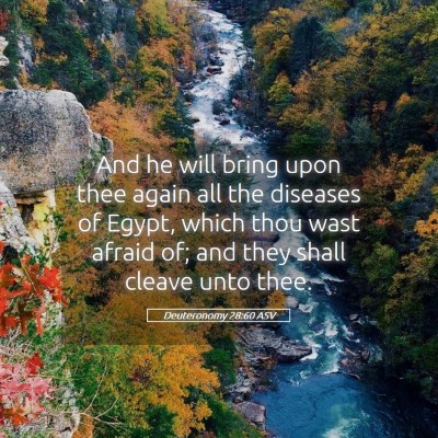 Picture 05 - Deuteronomy 28:60 ASV - And he will bring upon thee again all the - Bible Verse Picture
