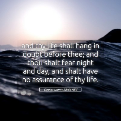 Picture 05 - Deuteronomy 28:66 ASV - and thy life shall hang in doubt before thee; and - Bible Verse Picture