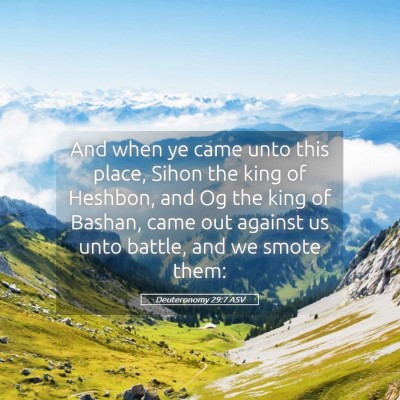 Picture 05 - Deuteronomy 29:7 ASV - And when ye came unto this place, Sihon the king - Bible Verse Picture