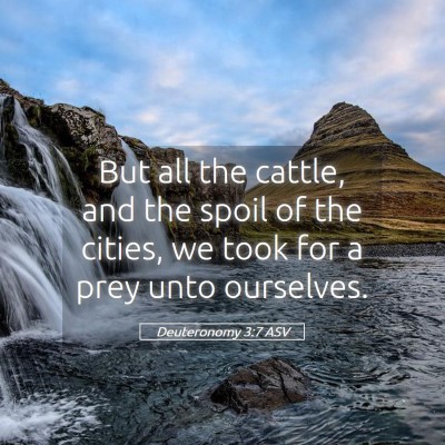 Picture 05 - Deuteronomy 3:7 ASV - But all the cattle, and the spoil of the cities, - Bible Verse Picture