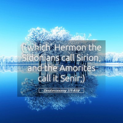 Picture 05 - Deuteronomy 3:9 ASV - (`which' Hermon the Sidonians call Sirion, and - Bible Verse Picture